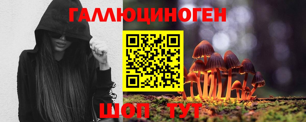 Псилоцибиновые грибы Magic Shrooms  Псилоцибиновые грибы Psilocybe  даркнет сайт  Вход с VPN  Сафоново 